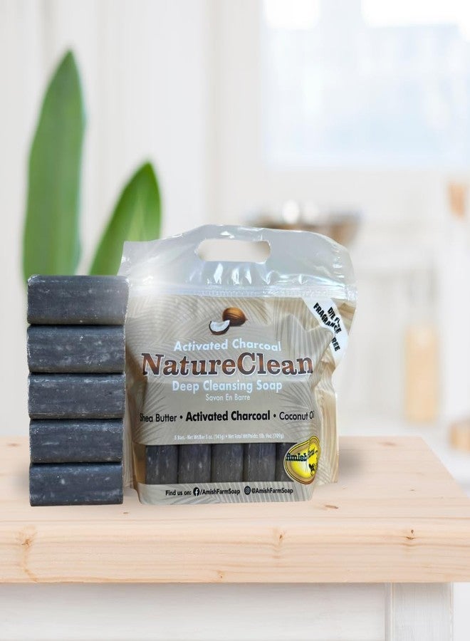 Amish Farms NatureClean Deep Cleansing Soap - Image 3